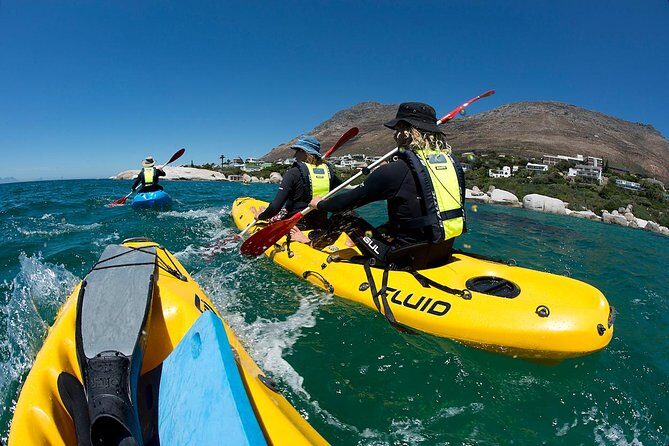 Paddle with the Penguins - An Authentic Sea Kayaking Experience near Simon’s Town