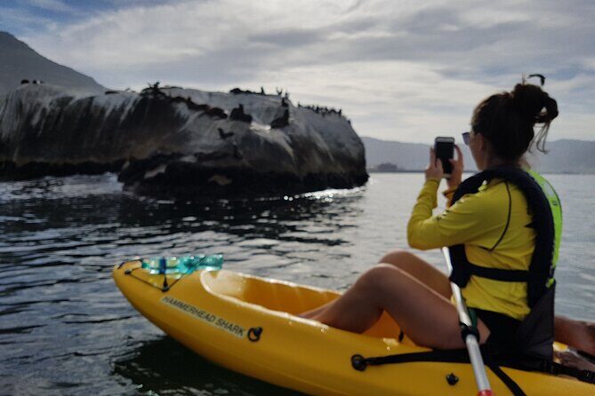 Paddle with the Penguins - What Reviewers Say