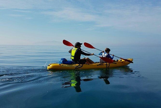 Paddle with the Penguins - Who Will Love This Tour?