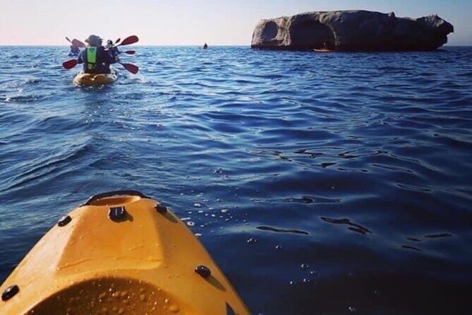 Paddle with the Penguins - The Sum Up
