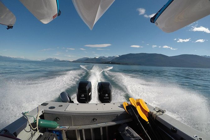 paddle-with-whales-kayak-adventure-juneau