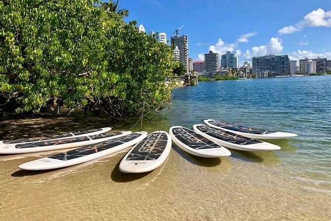 paddleboard-rental-at-the-condado-lagoon