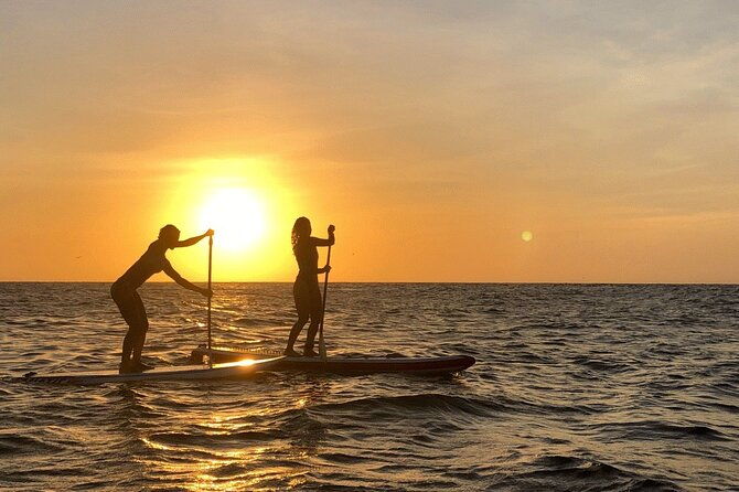 paddleboard-tour