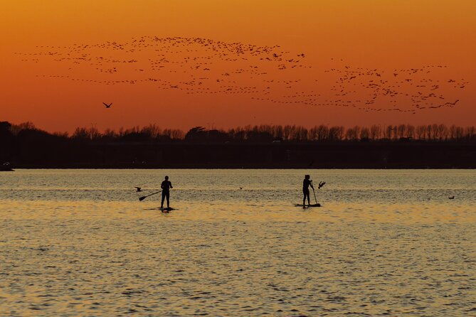 paddleboarding-in-dublin