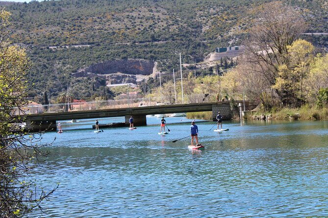 paddleboarding-on-river-ombla