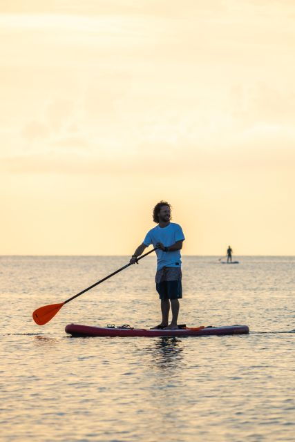 paddlesurf-rental