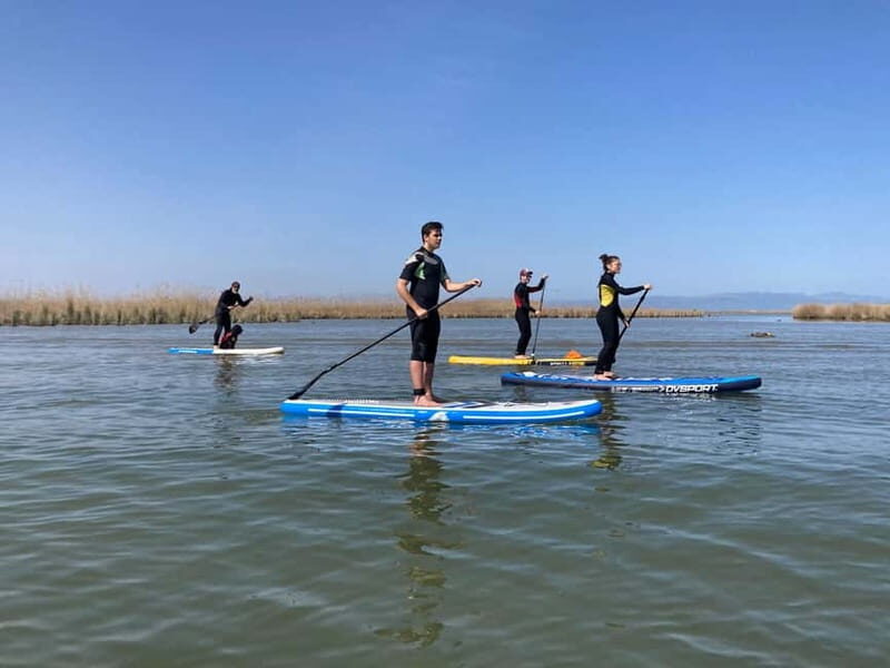 Paddlesurfing excursion in the Ebro Delta - 7 routes to choose from - The Practical Details: What You Need to Know