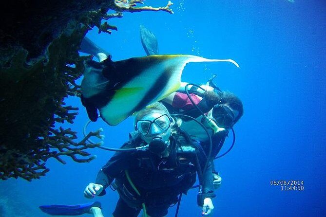 PADI 3 Days Open Water Course - The Underwater Experience: What You Will Discover