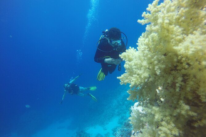 PADI 3 Days Open Water Course - Who Should Consider This Course?