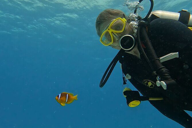 PADI Advanced Diving Course in Hurghada - Learn Scuba Diving - Key Points