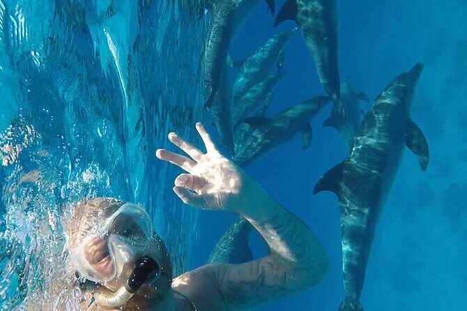 PADI Advanced Diving Course in Hurghada - Learn Scuba Diving - Why This Course Offers Great Value