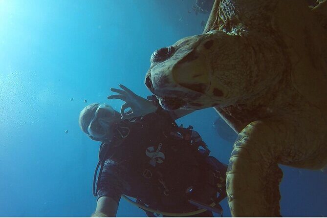 PADI Advanced Diving Course in Hurghada - Learn Scuba Diving - The Sum Up