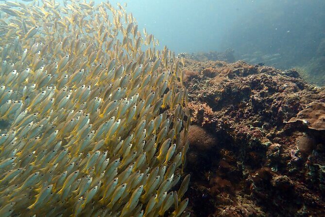 PADI Discover Scuba 3 Times Diving Phuket - In Closing