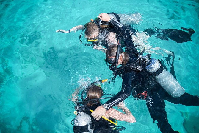 padi-discover-scuba-dive-at-5-star-dive-center-blue-bay-dive-curacao