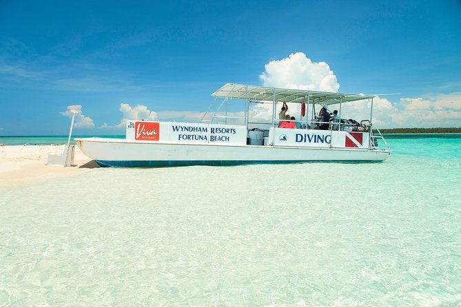 padi-discover-scuba-diving-and-day-pass-in-freeport