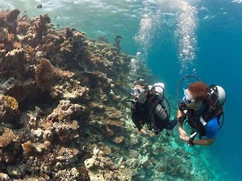 PADI Discover Scuba Diving: at Hol Chan Marine Reserve - Key Points