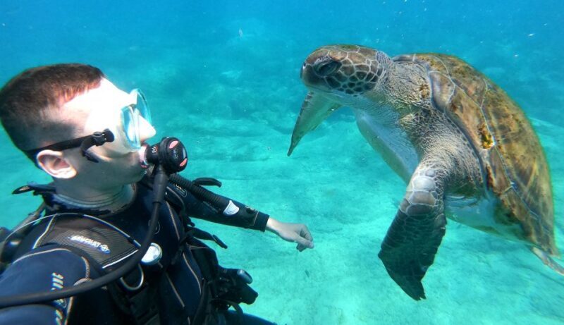 PADI Discover Scuba Diving Course in Tenerife - Introduction