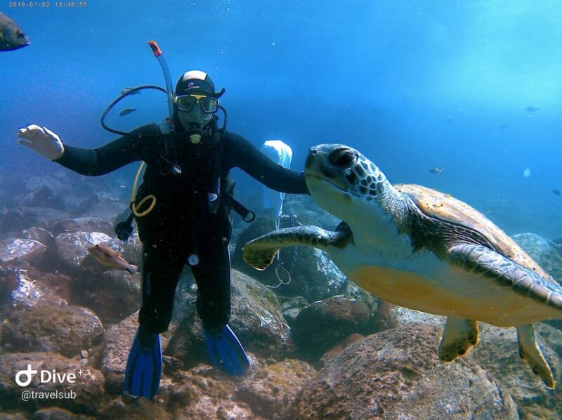 PADI Discover Scuba Diving Course in Tenerife - Key Points