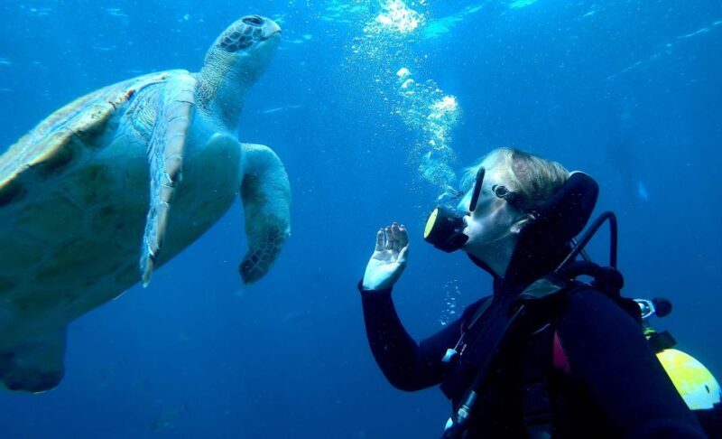 PADI Discover Scuba Diving Course in Tenerife - Boat Ride and Shallow Water Practice  
