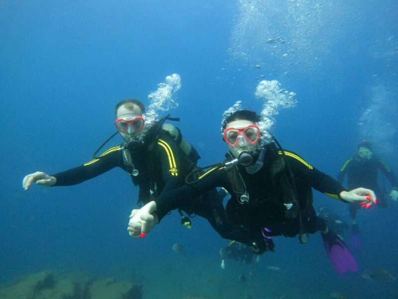 PADI Discover Scuba Diving Course in Tenerife - What Makes This Tour Stand Out?  
