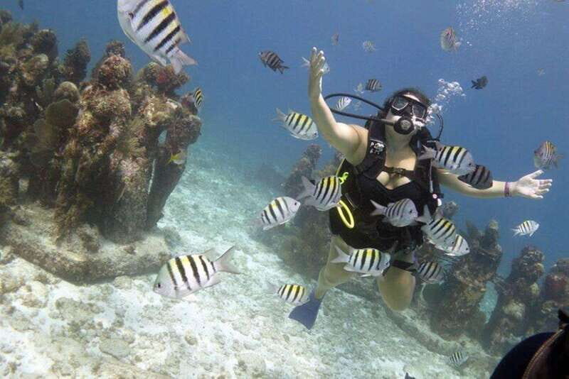 PADI Discover Scuba Diving for divers without certification - Key Points