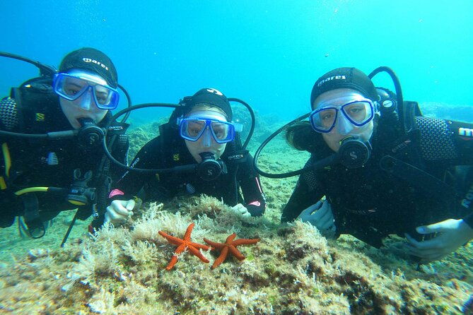 padi-discover-scuba-diving-in-dubrovnik