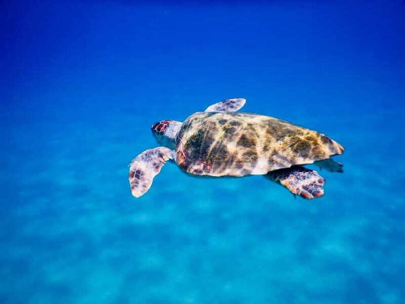 PADI Discover Scuba Diving - Ios Island - Frequently Asked Questions