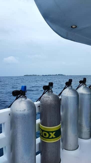 Padi Enriched Air Nitrox Specialty Course - What Are the Benefits of Diving with Nitrox?