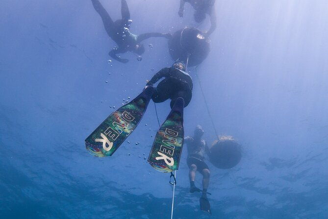 padi-freediver-course-in-barbados
