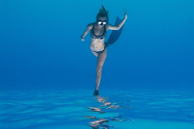 padi-freediver-course-in-barbados