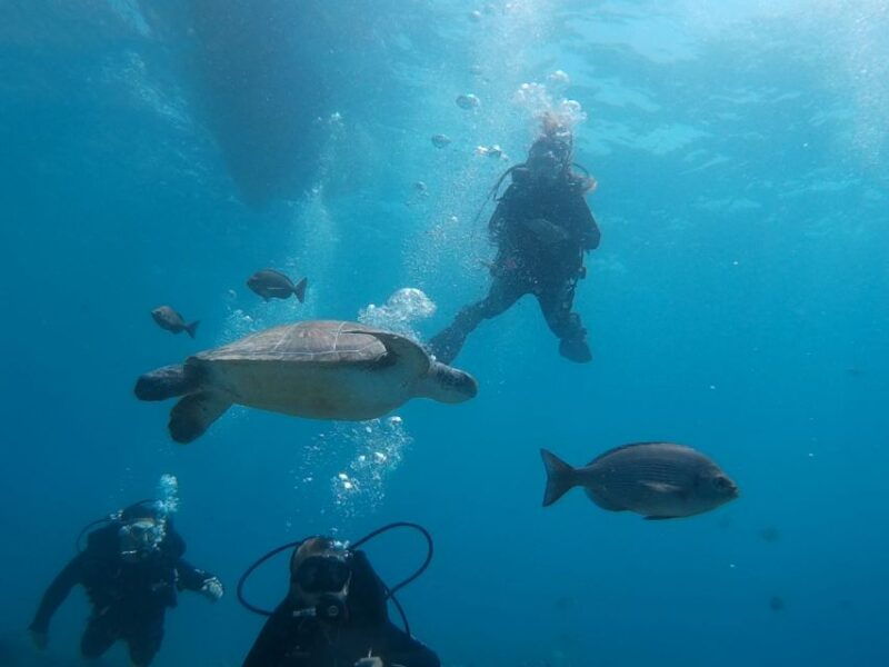 padi-open-water-course-in-3-days-2