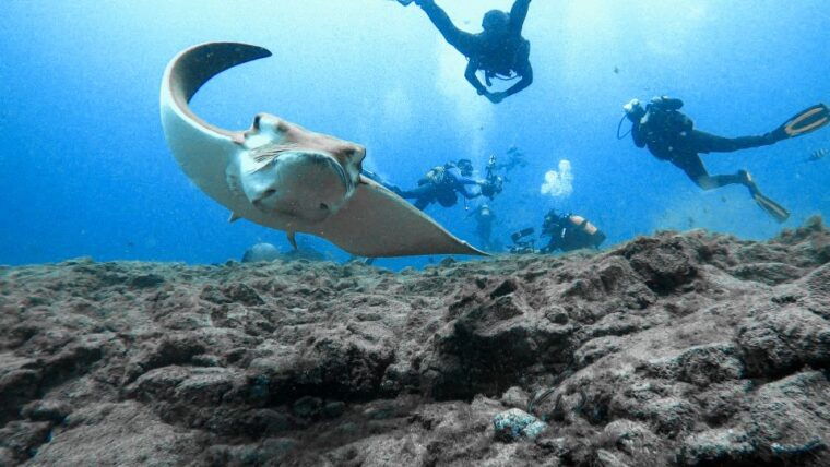 padi-open-water-course-in-3-days-2