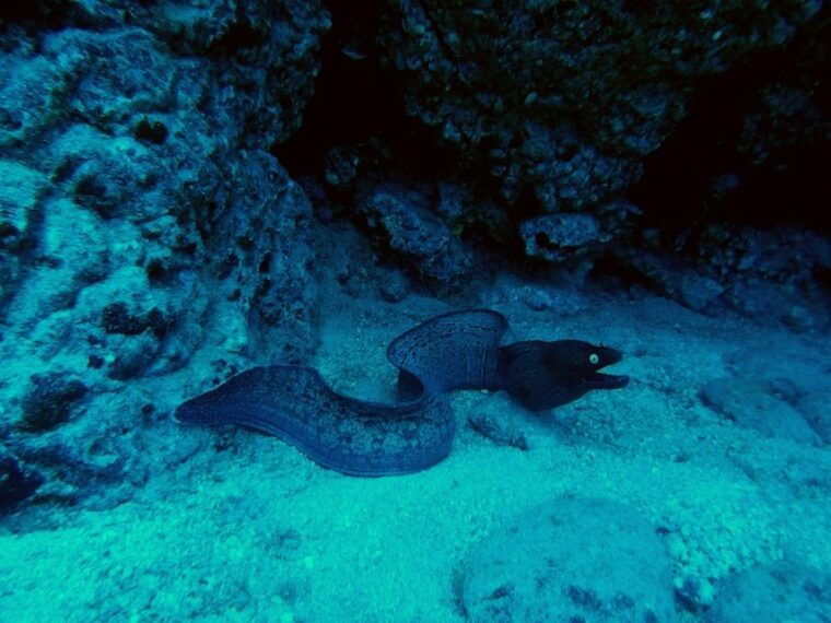 padi-open-water-course-in-3-days-2