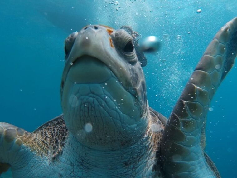 padi-open-water-course-in-3-days-2