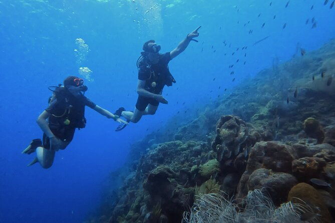 padi-open-water-course-in-3-days