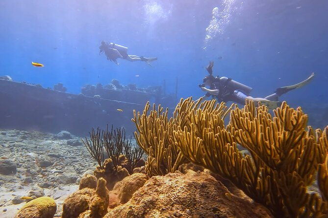 padi-open-water-course-in-3-days