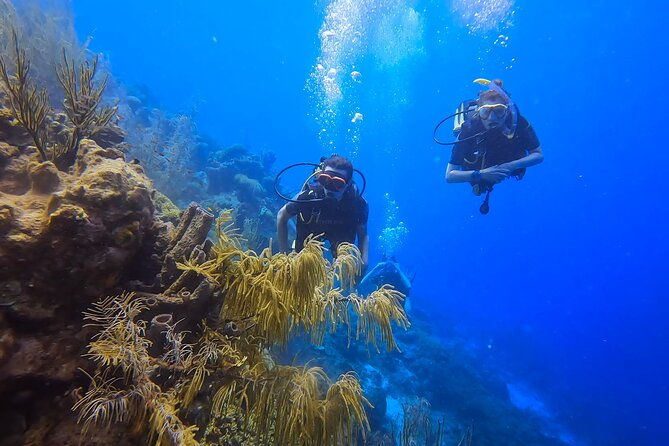 padi-open-water-course-in-3-days