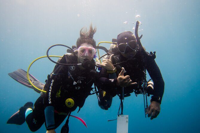 PADI Open water Course in Lembongan - Get certified & dive anywhere in the world - The Course Experience: What to Expect