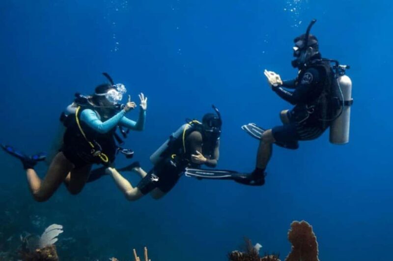 Padi Open Water Course With Elearning - Key Points