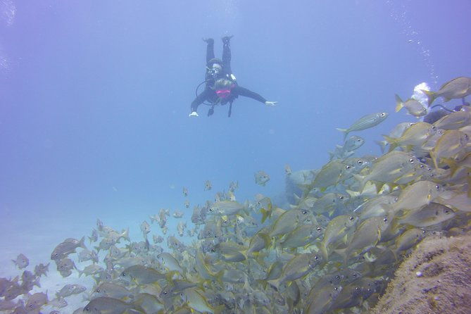 padi-open-water-diver-course-2