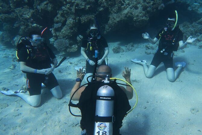 PADI Open Water Diver Course - The Itinerary: What’s Included and Why It Matters