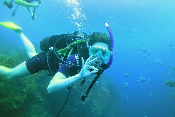 Padi Open Water Diver Course - Who Will Love This Experience?