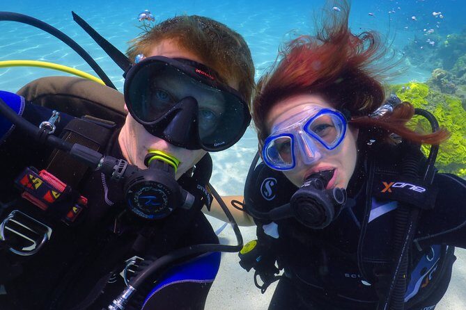 PADI Open Water Diver Course - 5 Days Scuba Diving - Price & Value Analysis