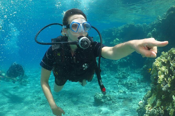 PADI Open Water Diver Course - 5 Days Scuba Diving - Who Should Consider This Course?