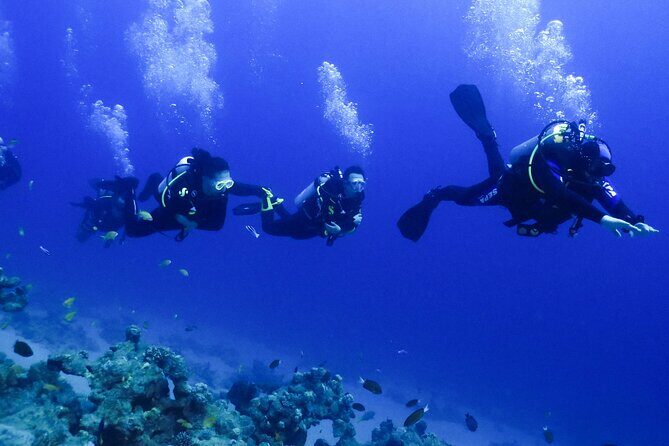 PADI Open Water Diver Course - 5 Days Scuba Diving - Final Thoughts: Is It Worth It?