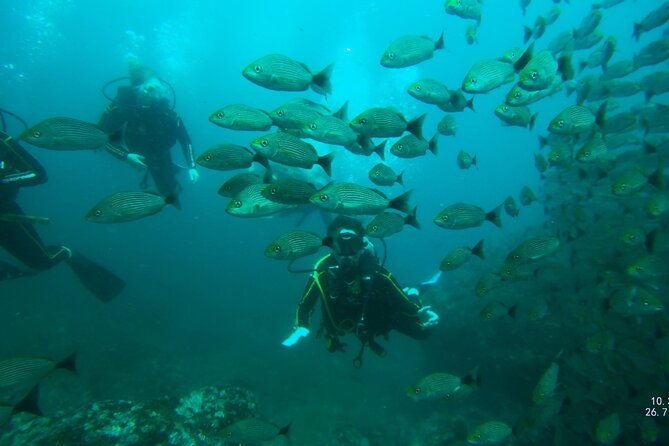 padi-open-water-diving-course-in-costa-rica-3-days