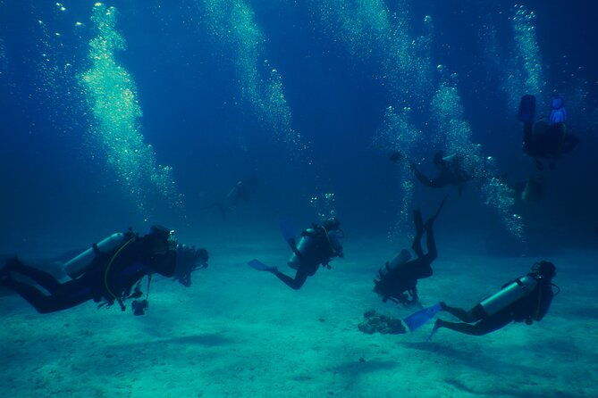 padi-open-water-diving-course-in-costa-rica-3-days