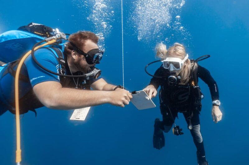 padi-open-water-diving-course-tenerife