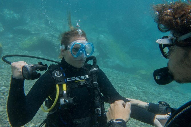 padi-reactivate-course-2