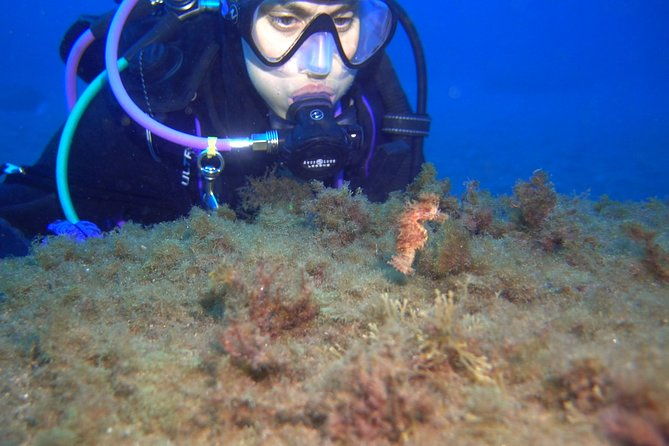 padi-reactivate-course